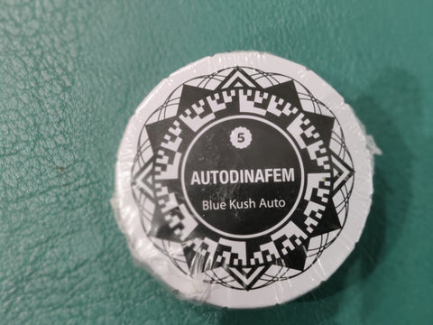 Blue Kush Auto x5 - Dinafem