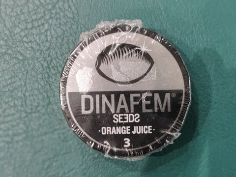 Orange Juice x3 - Dinafem