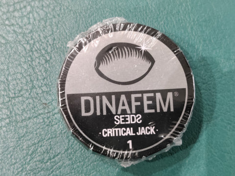 Critical Jack x1 - Dinafem