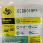 Geckolope x 3 - Geckosamen