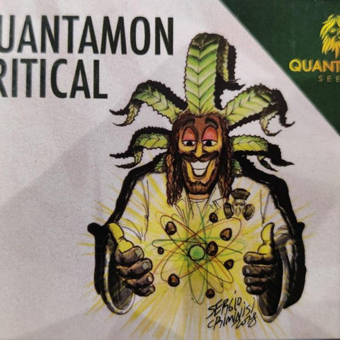 Quantamon Critical Auto x 3 - Quantamon Seeds