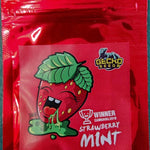 Strawberry Mint x 3 - Gecko Seeds