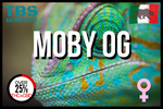 Moby OG 3 + 1 - TBS-Genetik